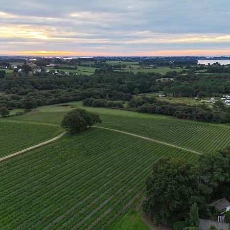 Gite -L'Appart- Au Vignoble Domaine Lamballe, Baden, Golfe Du Morbihan Eksteriør bilde
