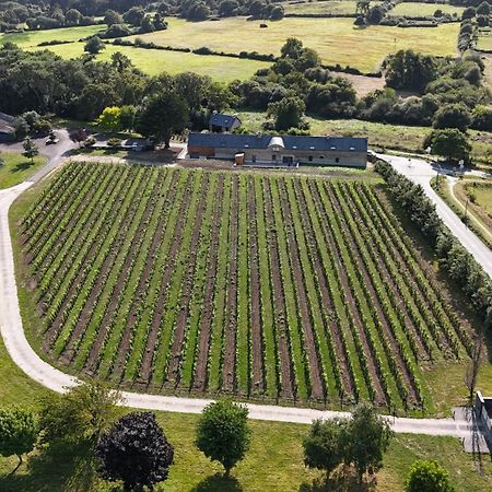 Gite -L'Appart- Au Vignoble Domaine Lamballe, Baden, Golfe Du Morbihan Eksteriør bilde