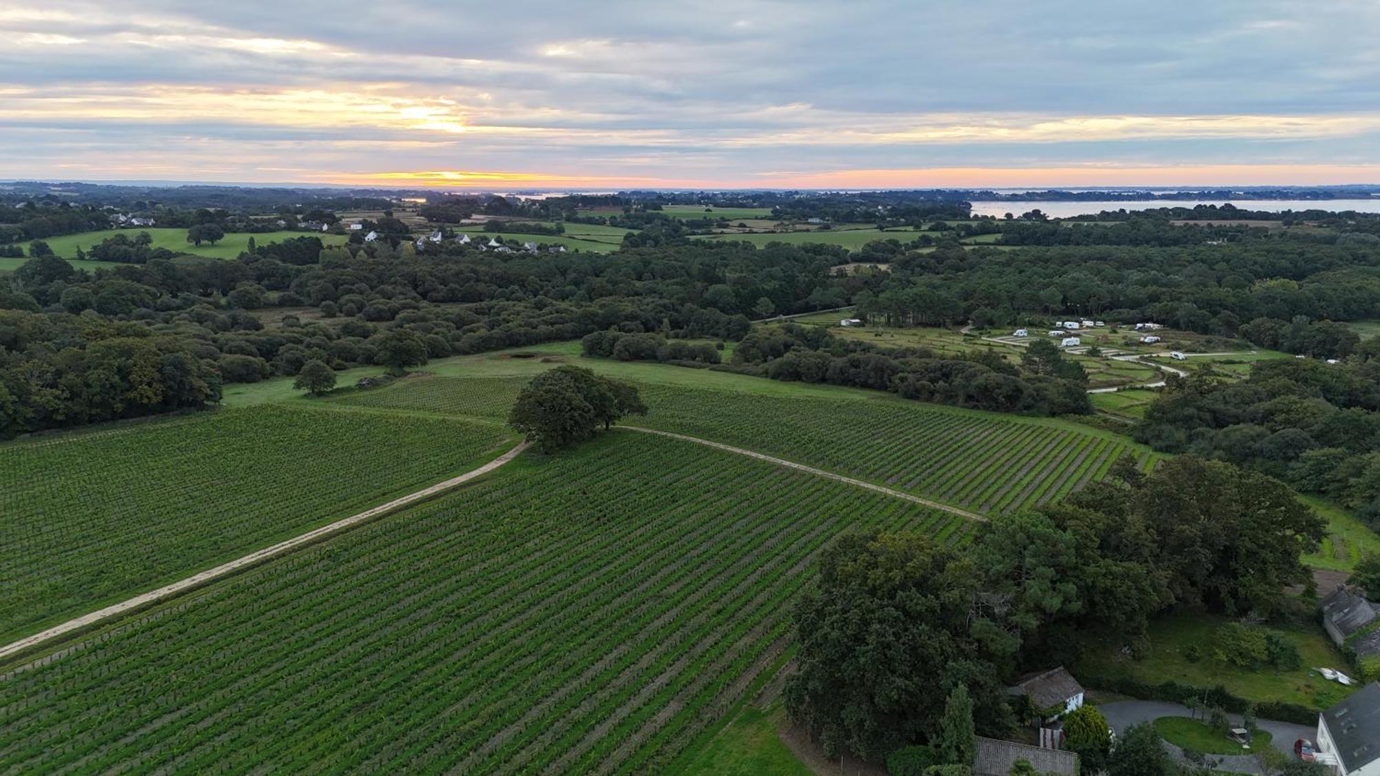 Gite -L'Appart- Au Vignoble Domaine Lamballe, Baden, Golfe Du Morbihan Eksteriør bilde